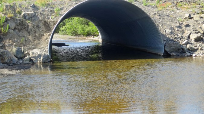 The Chiniak River flows under the road through this culvert. Salmon were plateful on both sides. While we were fishing downstream on this side of the culvert, the bear was fishing upstream.