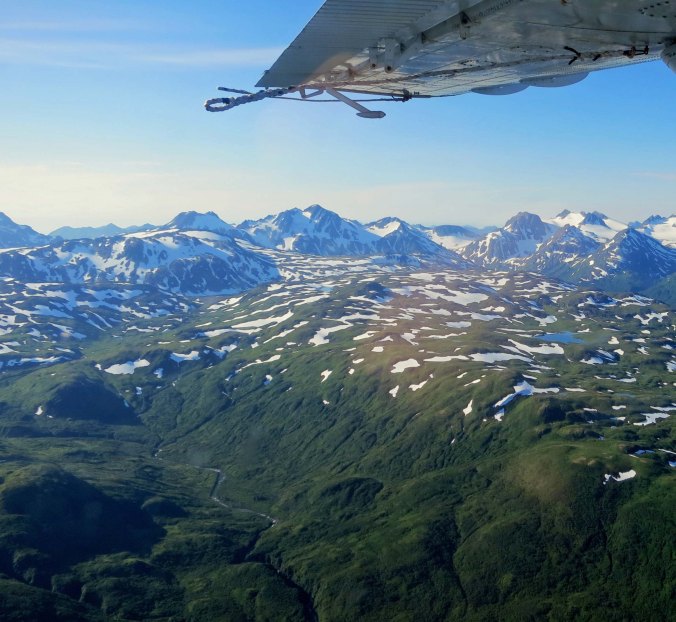 Kodiak is a beautiful island ranging (in the summer) from intensely green hills to glacier covered mountains. I took this photo out the window of our plane as we flew over the Island.