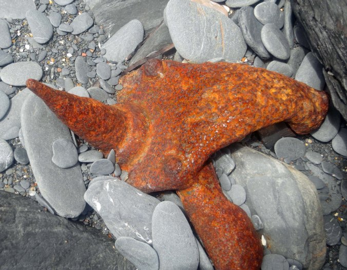 The boys thought these strange metallic sculptures were closer to pirate booty. Decades ago the area had been a dump. The ocean, time and waves had worked their wonders on what had once been cars.