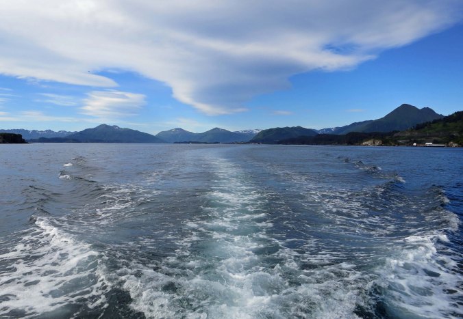 Boat wake in Chiniak Bay, Kodiak.