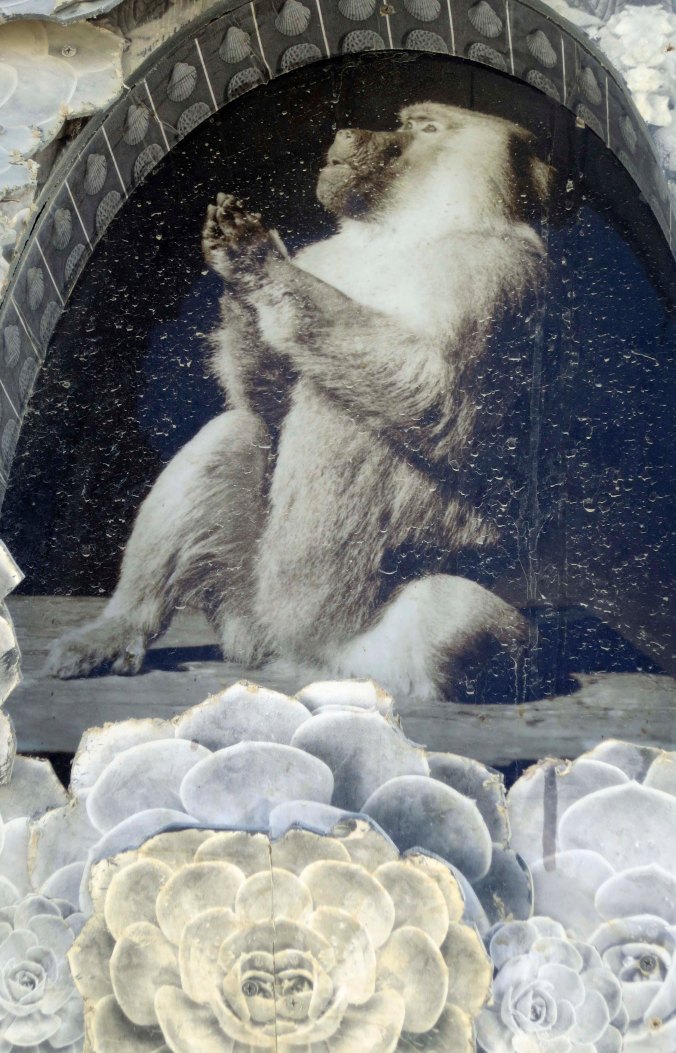 Photo of chimp on Burning Man 2013 Photo Chapel.