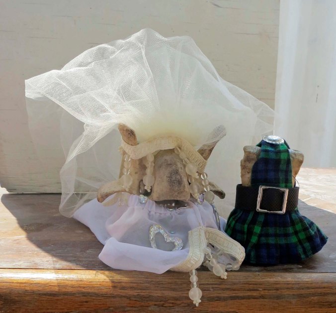 Later, we attended the wedding of Bone and Bonetta at the church. Bone has been wandering the world for 45 years. He rescued Bonetta from a Florida swamp four years ago. They finally decided to get married.