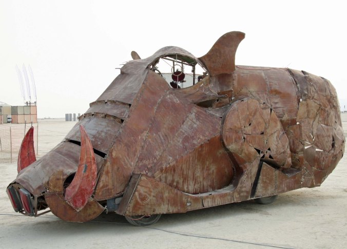 This returnee wart hog was also a charmer. (Photo by Tome Lovering.)