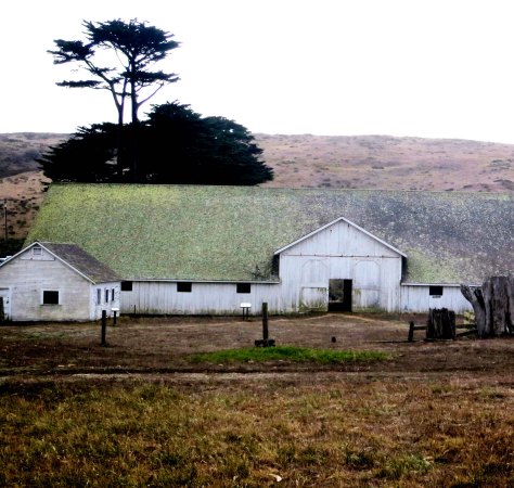 Photo of barn at Pierce Ranch, Pt. Reyes National Seashore.  Photo by Curtis Mekemson.