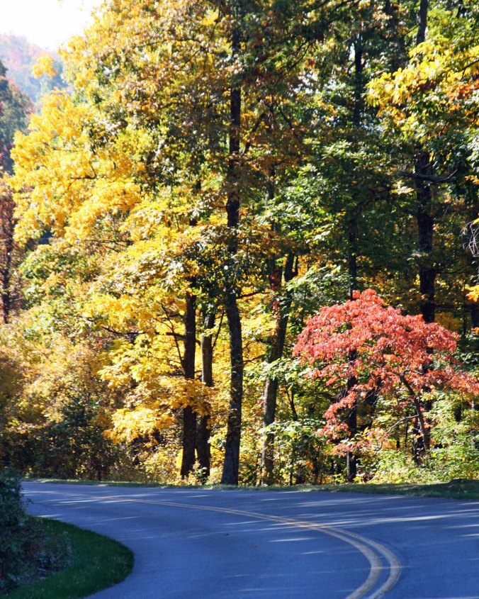 Fall photp of Blue Ridge Highway by Curtis Mekemson.
