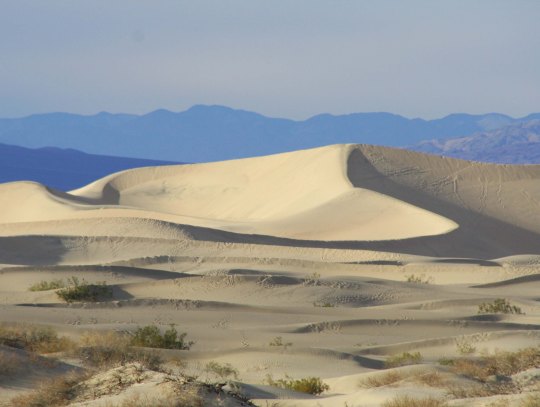 Sand dunes in Death Valley. Photo by Curtis Mekemson.