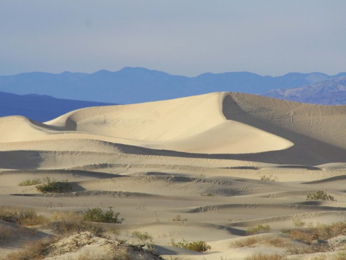 Sand dunes in Death Valley. Photo by Curtis Mekemson.