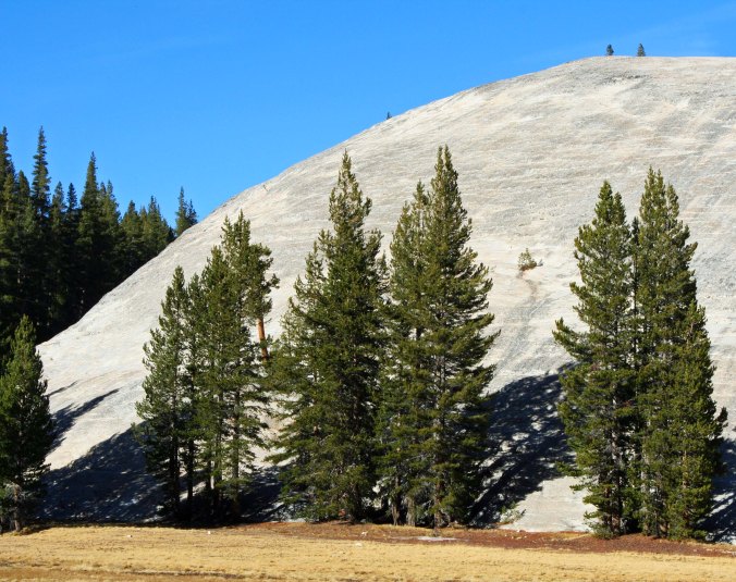 Granite in Yosemite National Park. Photo by Curtis Mekemson.