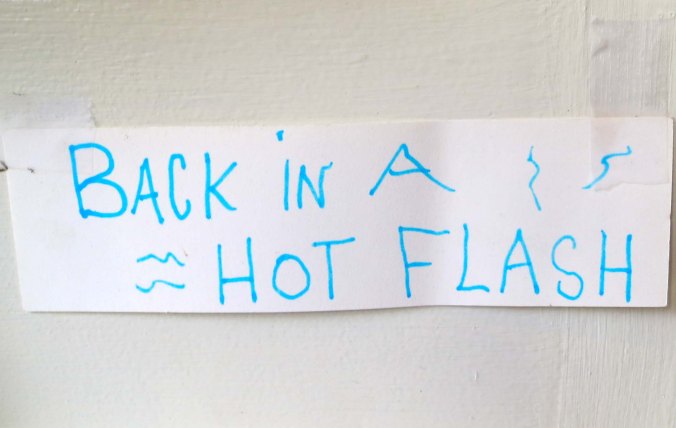 Back in a hot-flash sign in Bolinas, California. Photo by Curtis Mekemson.