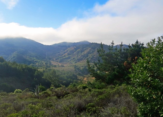Pt. Reyes Natioanl Seashore photo by Curtis Mekemson.