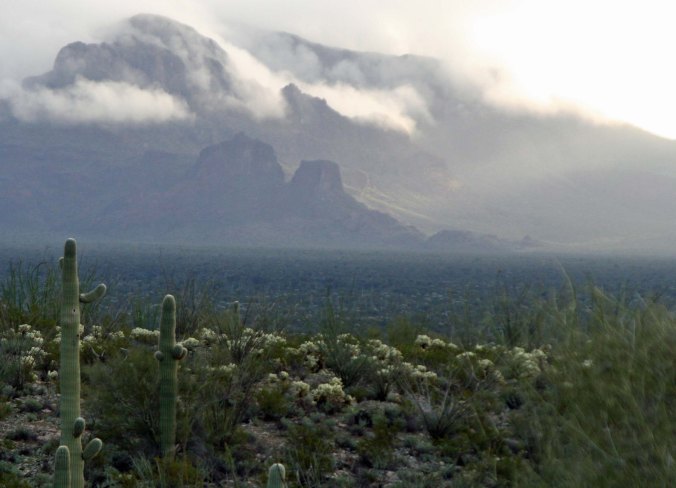 Misty mountains in Organ Pipe National Monument. Photo by Curtis Mekemson.
