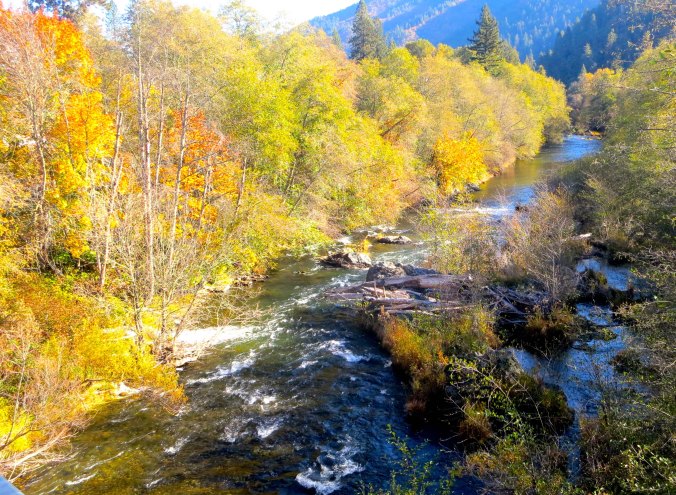 Fall photo of the Applegate River by Curtis Mekemson.