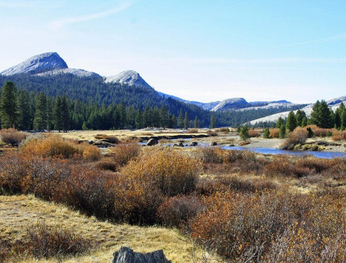 Tuolumne Meadows in Yosemite National Park. Photo by Curtis Mekemson.