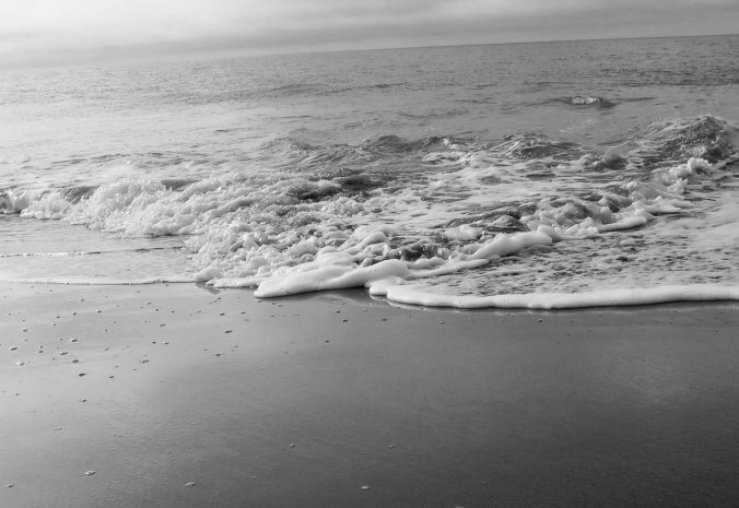 Gentle waves visit Limantour Beach at Pt. Reyes National Seashore. Photo by Curtis Mekemson.