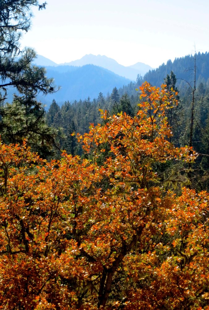 View from Curtis and Peggy Mekemson's patio in southern Oregon.