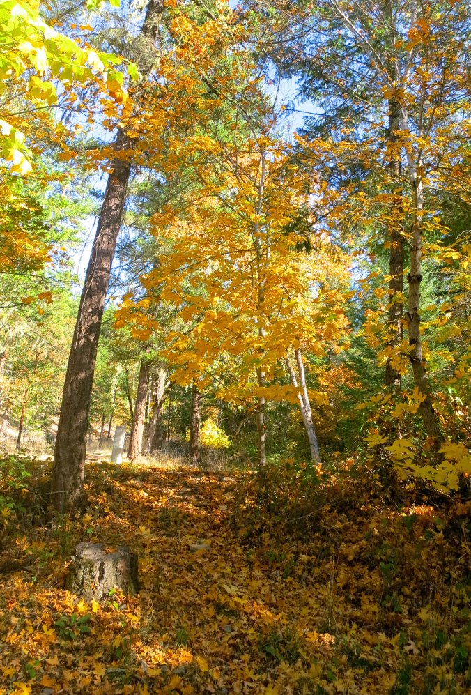 Southern oregon fall photo by Curtis Mekemson.