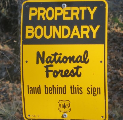 My preference is always for the woods. Our property line on the back is the Klamath National Forest.
