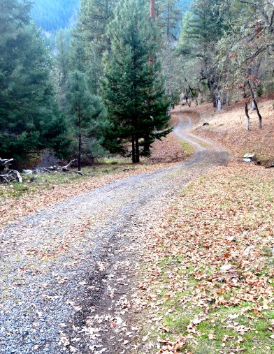 Looking back down the road past the culvert toward our house. I would have followed the road if I hadn't used Cody's trail.