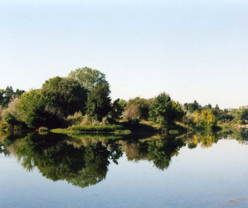 William Pond was the Director of Parks during the 1960s when the parkway was first proposed. This is the pond in William Pond Park. I cal it  William Pond Pond.