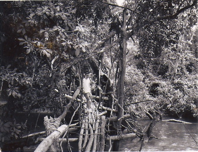 Kpelle footbridge near Gbarnga, Liberia circa 1965.