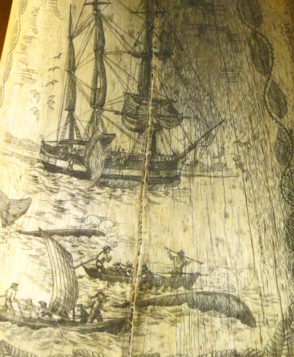 Scrimshaw collection at Crater Rock Museum in Central Point, Oregon.