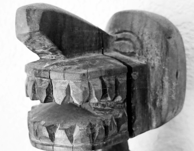 Liberian bush devil photo by Curtis Mekemson.