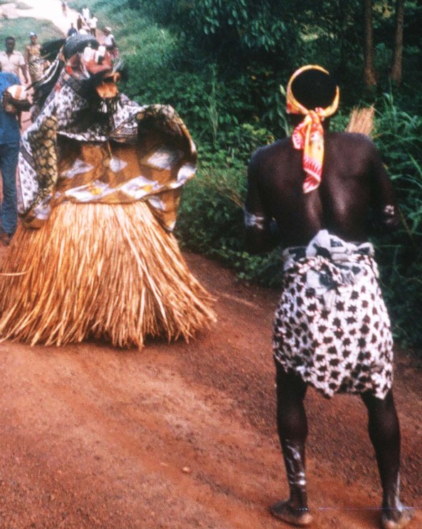 Liberian Bush Devil photo by Curtis Mekemson.