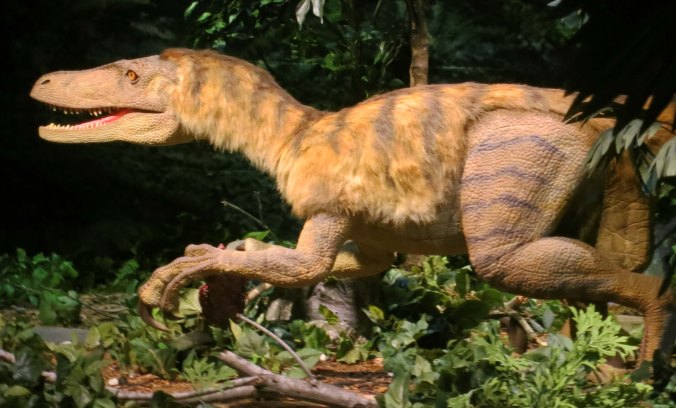 I don't think you could out run Bird-D.