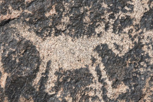 This petroglyph of a dog looks even more like Jack. He has floppy ears and is barking. (grin) So I'll end the post here.