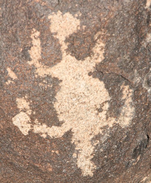 Tortoise petroglyph at Painted Rocks Petroglyph Site.