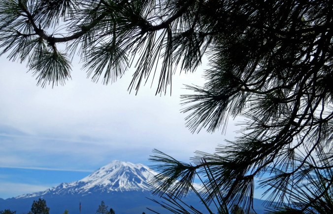 Mt. Shasta photo.