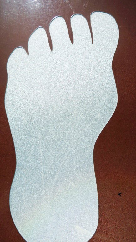 This image of a big foot appropriately marks the beginning of the Bigfoot trail.