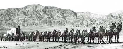 This early, unattributed photo in the public domain, provides a view of the team with its Death Valley backdrop.