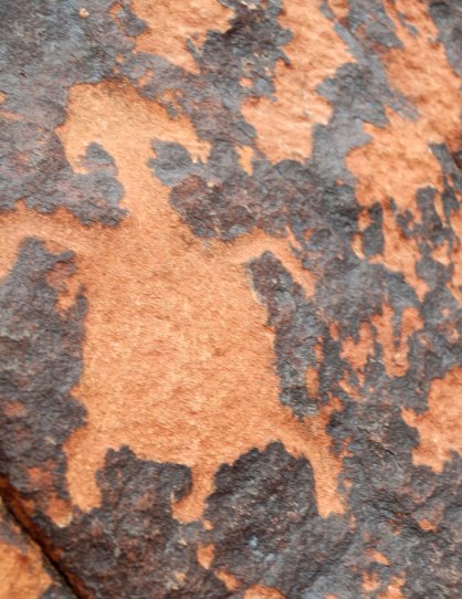 Dog petroglyph at the Valley of Fire State Park.