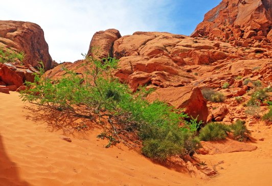 Scene from the Valley of Fire State Park in Nevada.