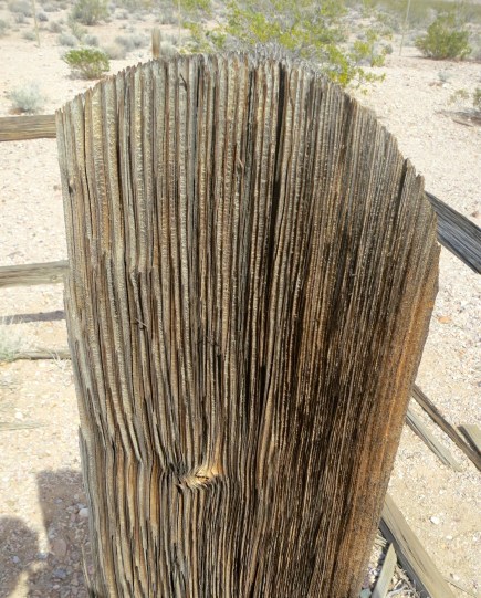 A final ghostly reminder from the Rhyolite graveyard.