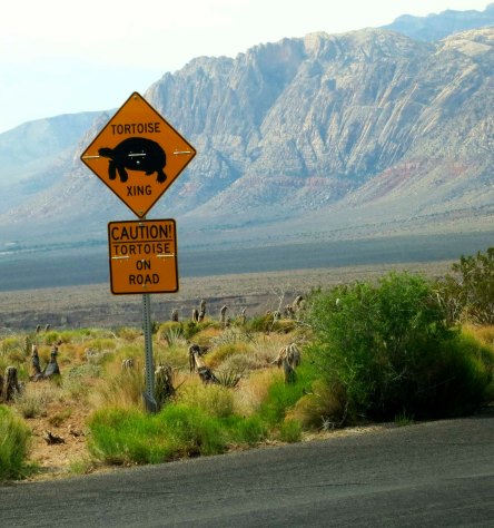 Watch out for tortoises on the road sign in Red Rock Canyon park outside of Las Vegas, Nevada.