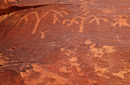 Petroglyph trees at Valley of Fire State Park in southern Nevada.
