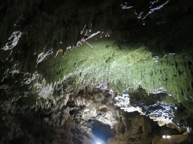 Lit up stalactites in Oregon Caves National Monument.