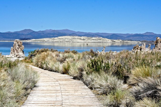 Following Highway 120 east off of Highway 395 will bring visitors to Mono Lake's South Tufa Trail where the photos in they blog were taken. 
