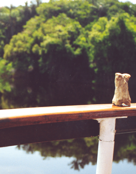 And poses perilously on the railing of a boat traveling up the Amazon River. I caught him just as he was about to fall into the Piranhnah infested waters.