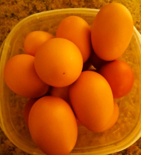 Part of our pay for taking care of the chickens. The Gang laid between three and four eggs a day.