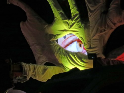 Mutant vehicle eye. Photo by Curtis Mekemson.