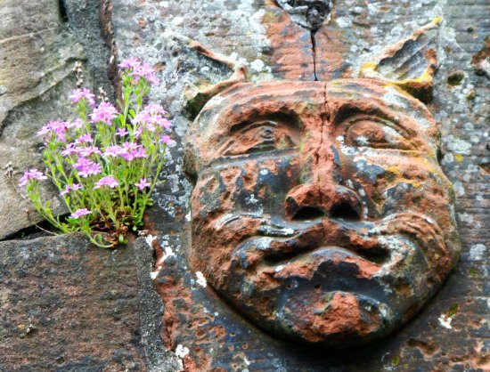 Cat man. I liked the way the flowers found a crack next to this gargoyle-like figure.