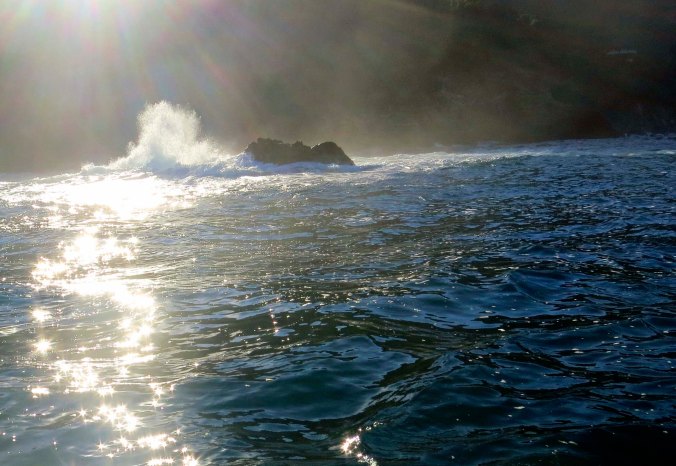 Ocean north of Puerto Vallarta. Photo by Curtis Mekemson.