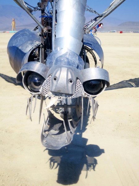 Close up of a dragon head at Burning Man 2014. Photo by Curtis Mekemson.