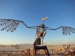 Large bird sculpture at Burning Man 2014. Photo by Curtis Mekemson.