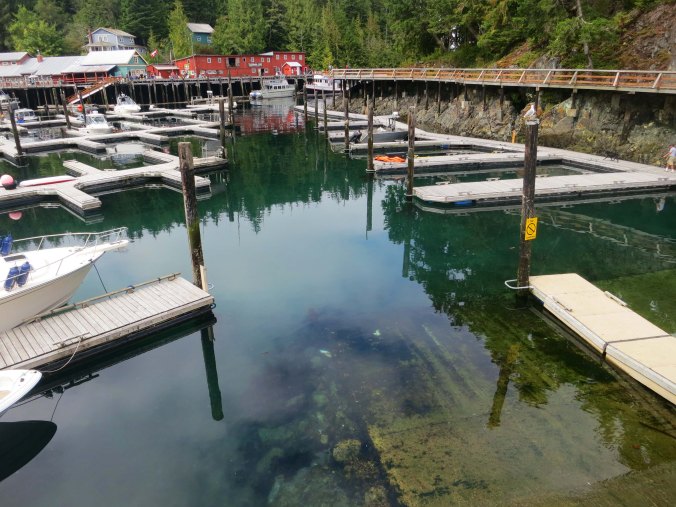 Empty docks at Telegraph Cove suggests all of the tours and fishing expeditions are already out on Johnstone Strait. Photo by Curtis Mekemson.
