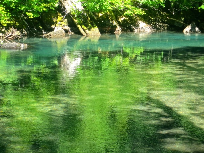 Creek reflects green of surrounding forest in Mt. Rainier National Park. Photo by Curtis Mekemson.
