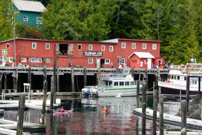 Telegraph Cove is all about water as this photo suggests. Here we see the Whale Interpretive Center, a fishing boat, and kayakers. (Photo by Peggy Mekemson.)